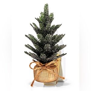 Holiday Tree Wallflower Plug